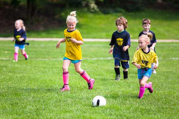 Little girls playing soccer in the field