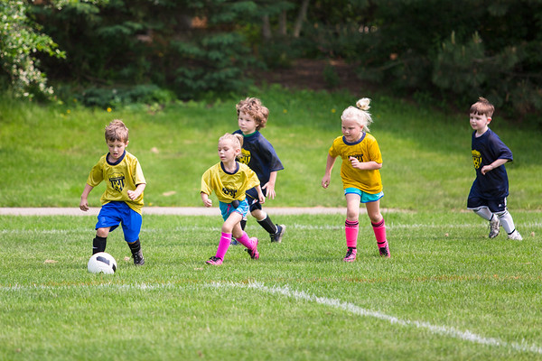 Group of boys and girls playing soccer in the field