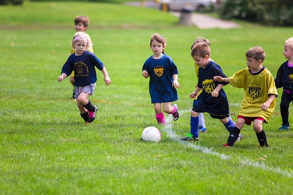 Very young group of boys and girls playing soccer in the field