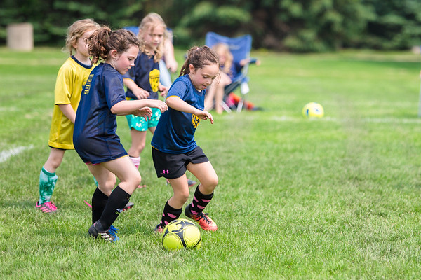Little girls in blue and yellow jerseys are playing soccer in the field